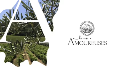Retour sur la dégustation du Domaine Les Amoureuses – Une matinée conviviale et inspirante