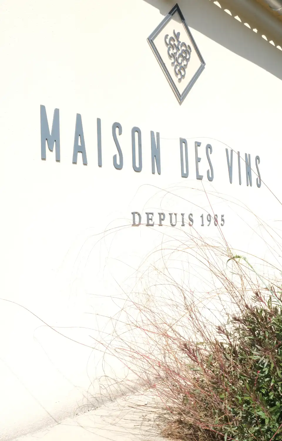 maison-des-vins maison des vins saint laurent des arbres