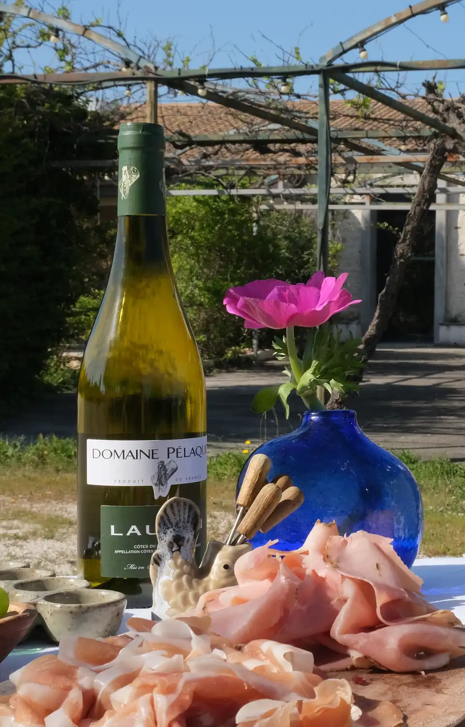 pelaquie