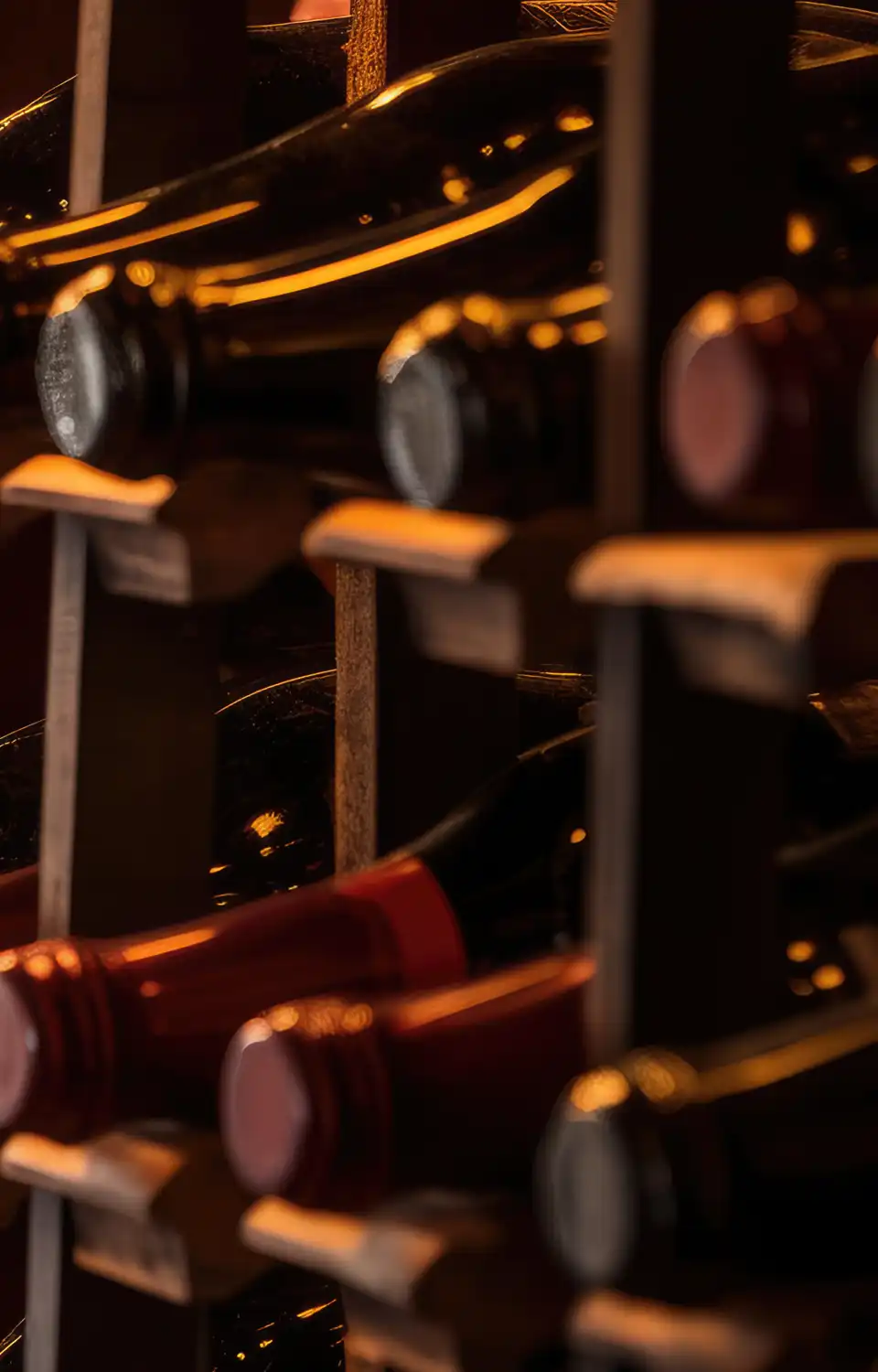 Vins Hotel des Ventes Avignon